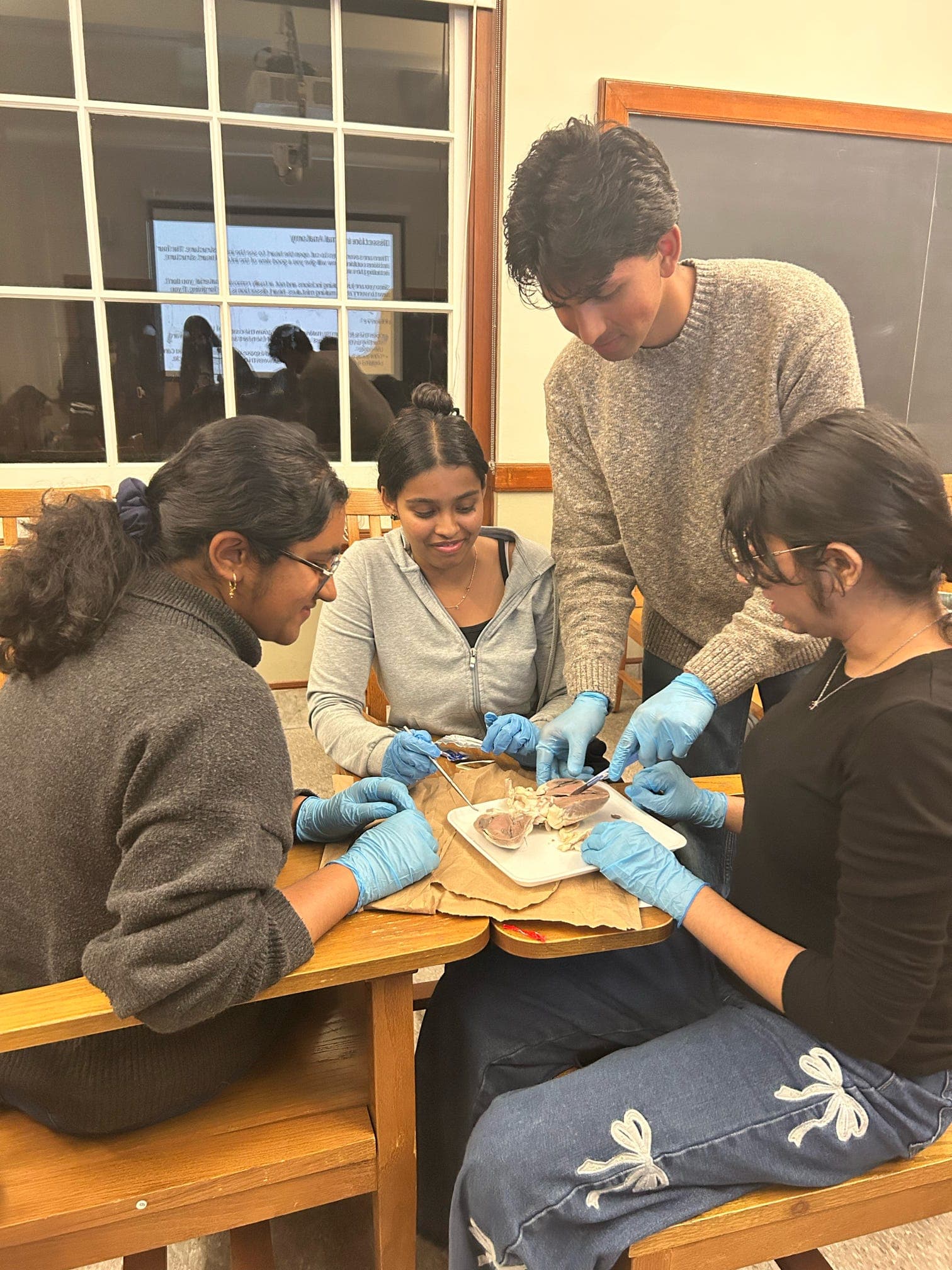 Heart Dissection Workshop
